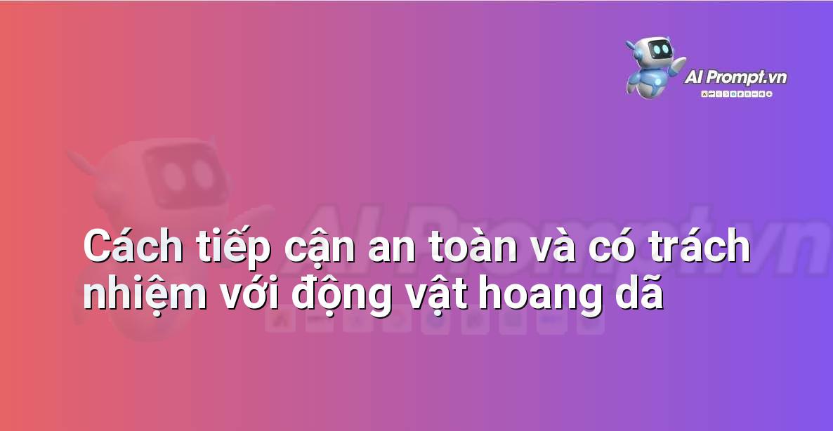 One-Shot Là Gì? Hướng Dẫn Chi Tiết Cho Người Mới Bắt Đầu Từ A-Z